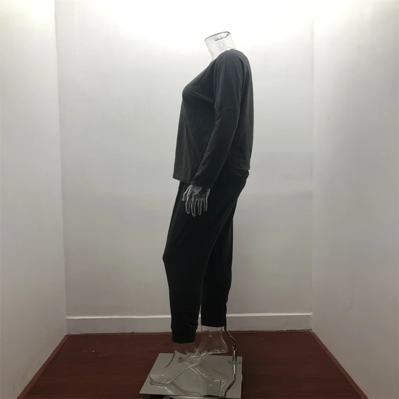 Hot Women's Long Sleeve Round Neck Top and Pants Set