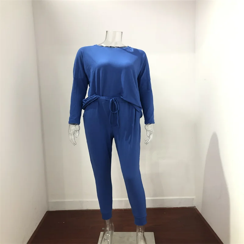 Hot Women's Long Sleeve Round Neck Top and Pants Set