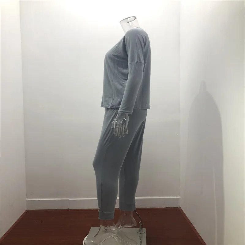 Hot Women's Long Sleeve Round Neck Top and Pants Set